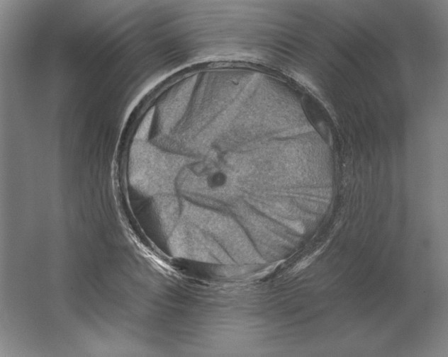 X0000062130928200512301457