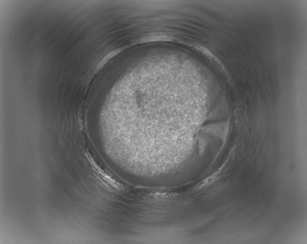 X0000062130929200512301457