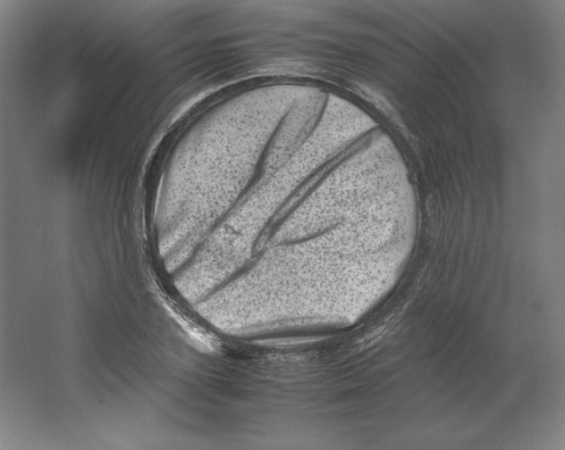 X0000062130931200512301457