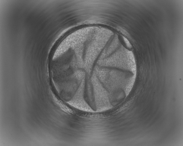 X0000062130934200512301457