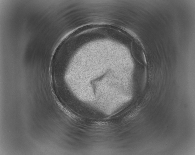 X0000062130935200512301457