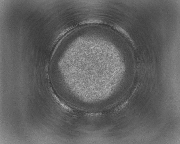 X0000062130937200512301457