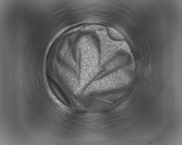 X0000062130939200512301458