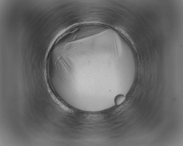 X0000062130941200512301458