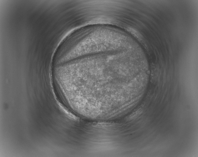 X0000062130942200512301458