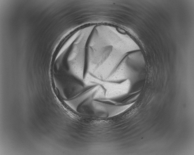 X0000062130943200512301458