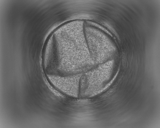 X0000062130944200512301458