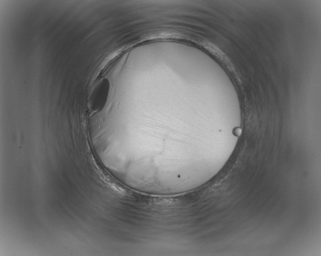 X0000062130945200512301458