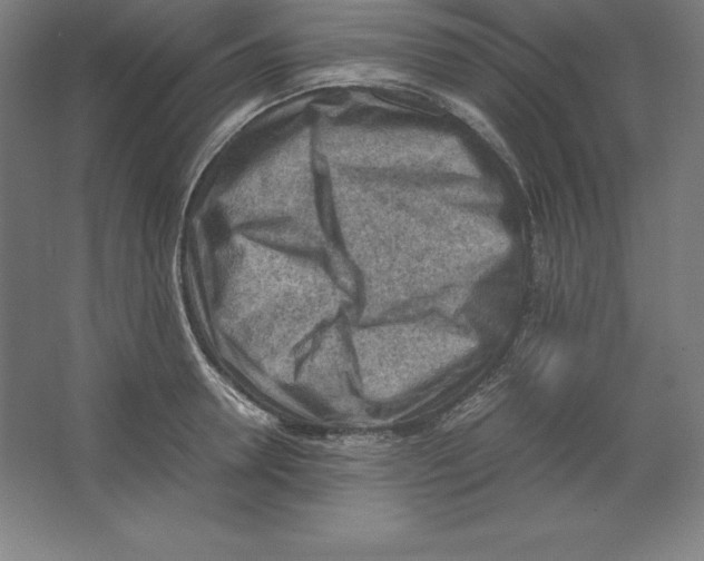 X0000062130946200512301458