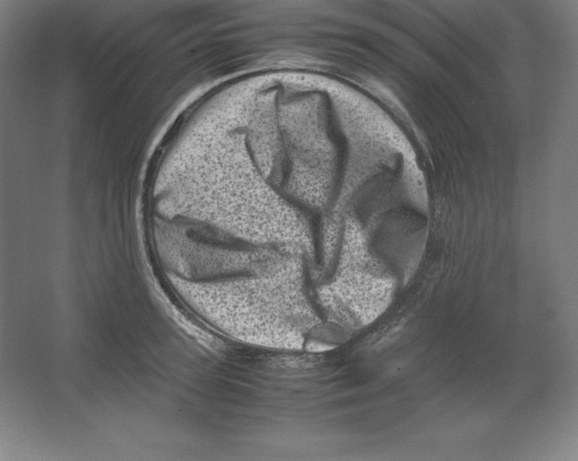 X0000062130947200512301458