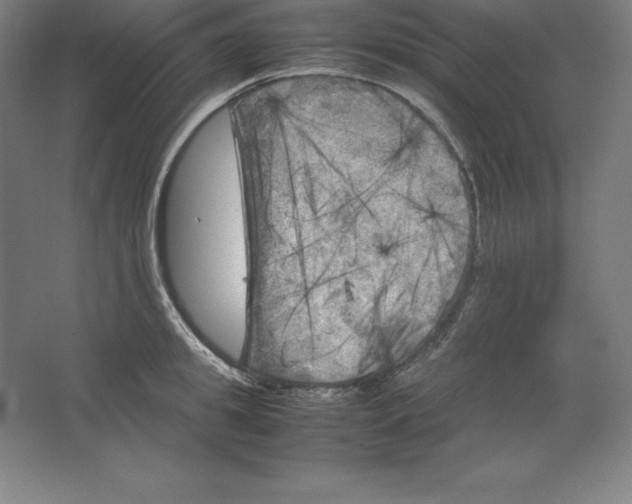 X0000062130949200512301458