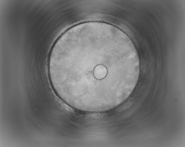 X0000062130950200512301458