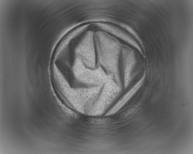 X0000062130951200512301458