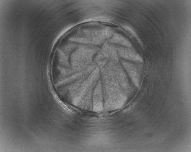 X0000062130952200512301458