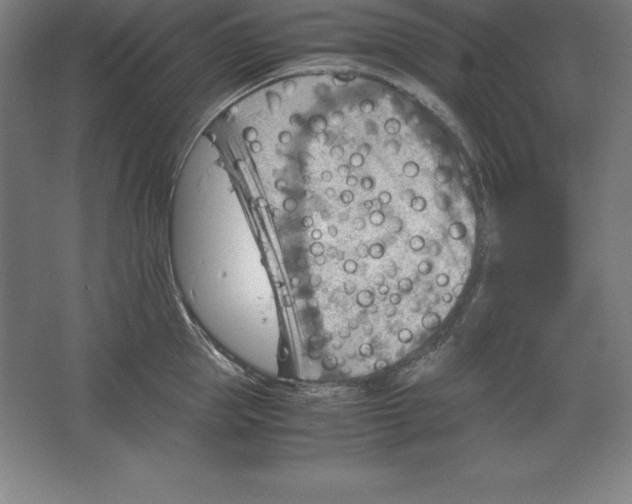 X0000062130953200512301458