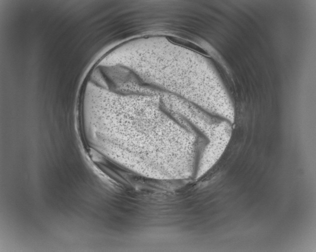 X0000062130955200512301458