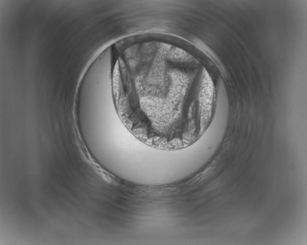 X0000062130956200512301458