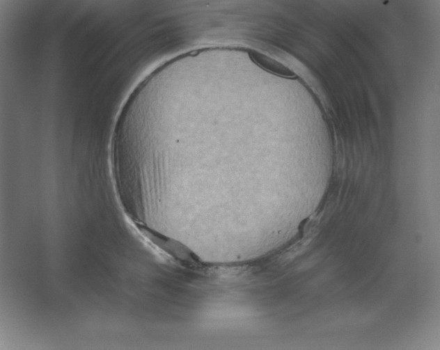 X0000062130958200512301458