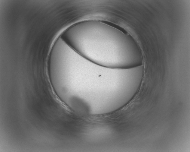 X0000062130960200512301458