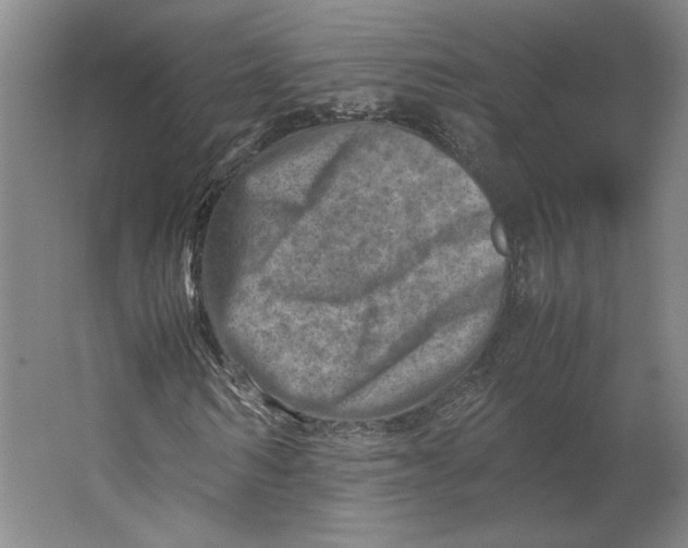 X0000062130962200512301457