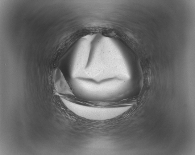 X0000062130965200512301457