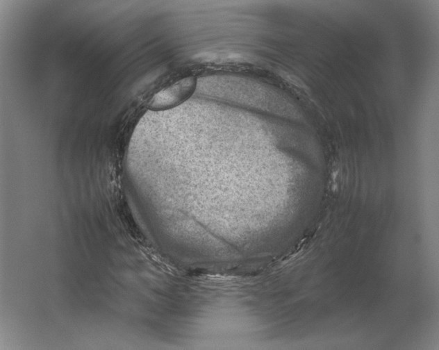 X0000062130966200512301457