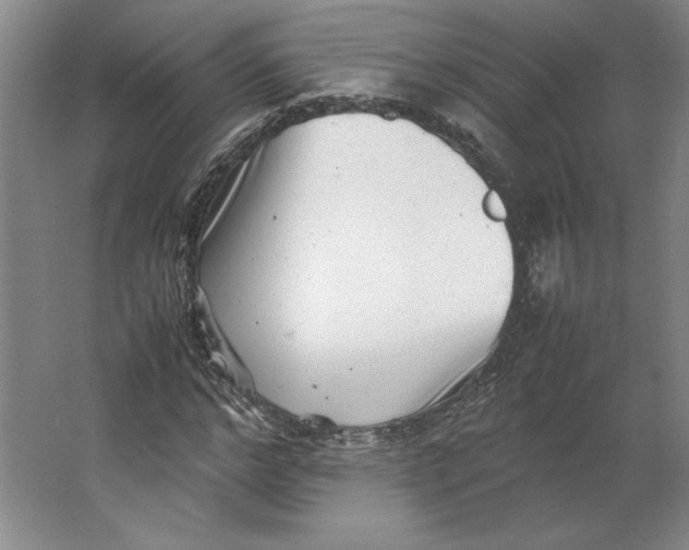 X0000062130968200512301457