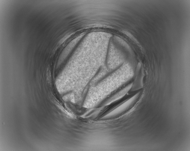 X0000062130969200512301457