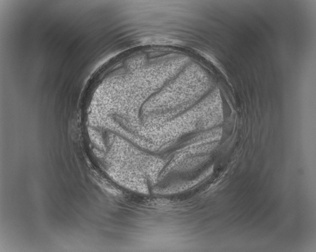 X0000062130971200512301457