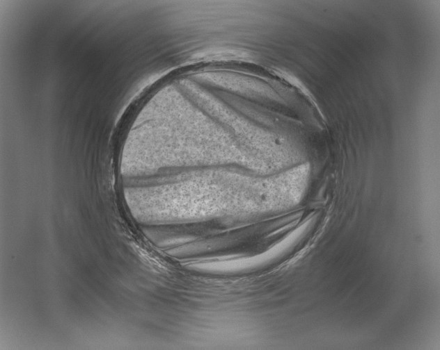 X0000062130973200512301457