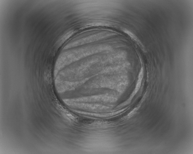 X0000062130977200512301457