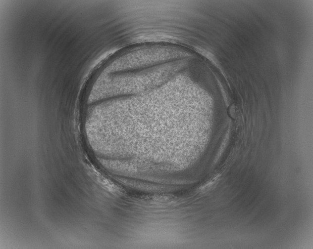 X0000062130979200512301457