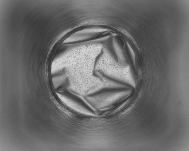 X0000062130981200512301457