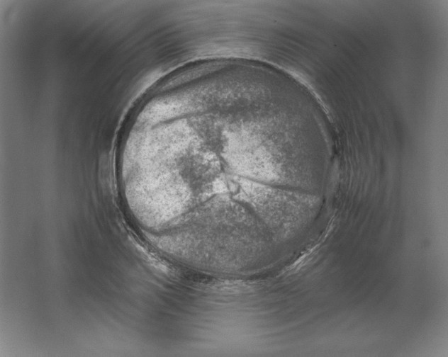 X0000062130982200512301457