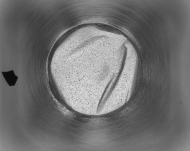 X0000062130988200512301457