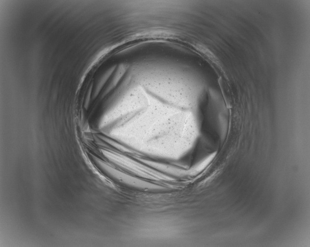 X0000062130989200512301457