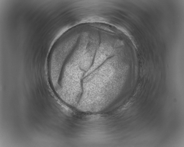 X0000062130990200512301457