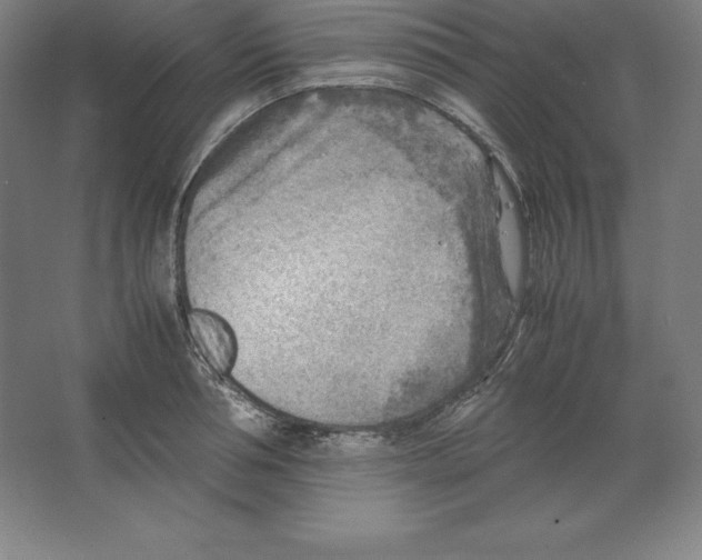 X0000062130994200512301457