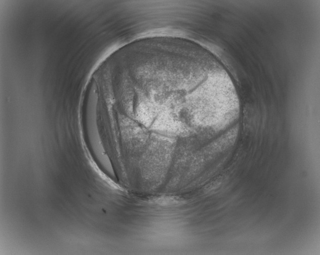 X0000062130998200512301456