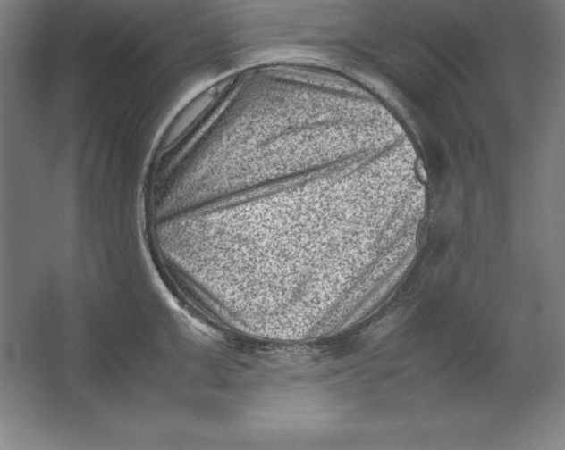 X0000062130999200512301456