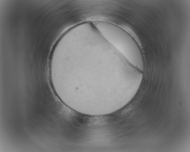 X0000062131000200512301456