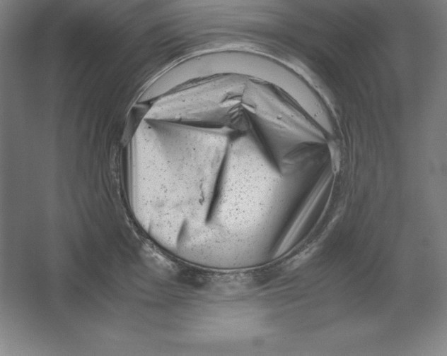 X0000062131001200512301456