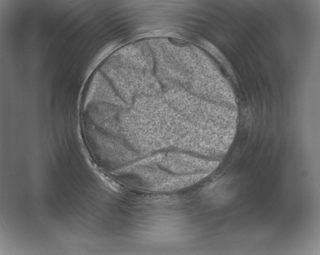 X0000062131002200512301456