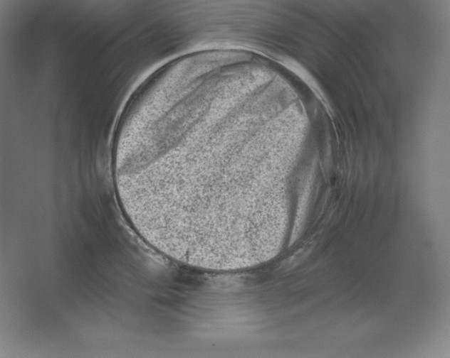 X0000062131004200512301456