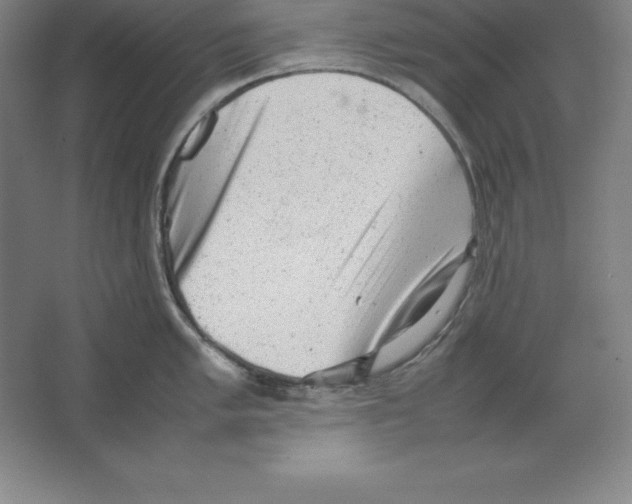 X0000062131005200512301456