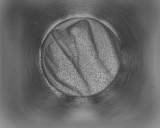 X0000062131006200512301456