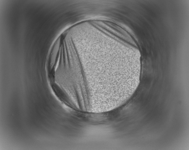 X0000062131007200512301456