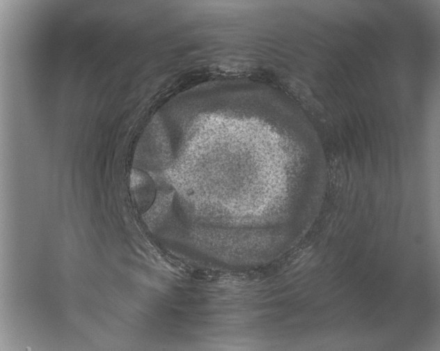 X0000062131009200512301455