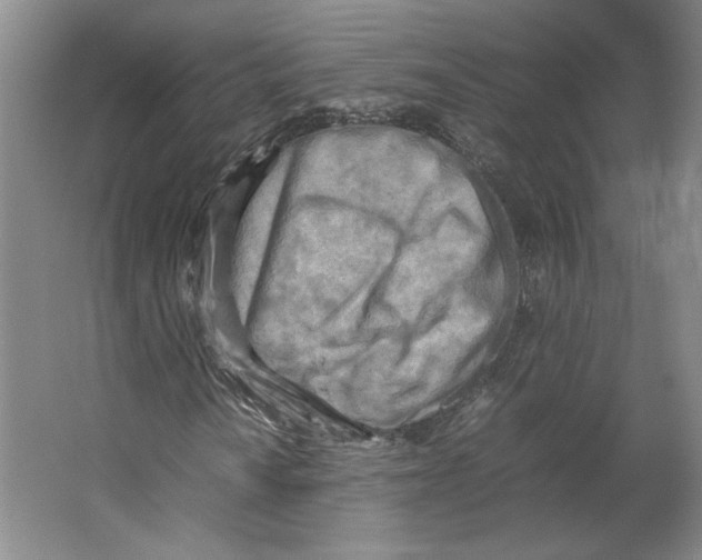 X0000062131010200512301455