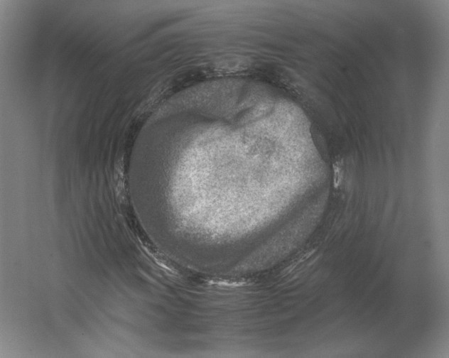 X0000062131011200512301456